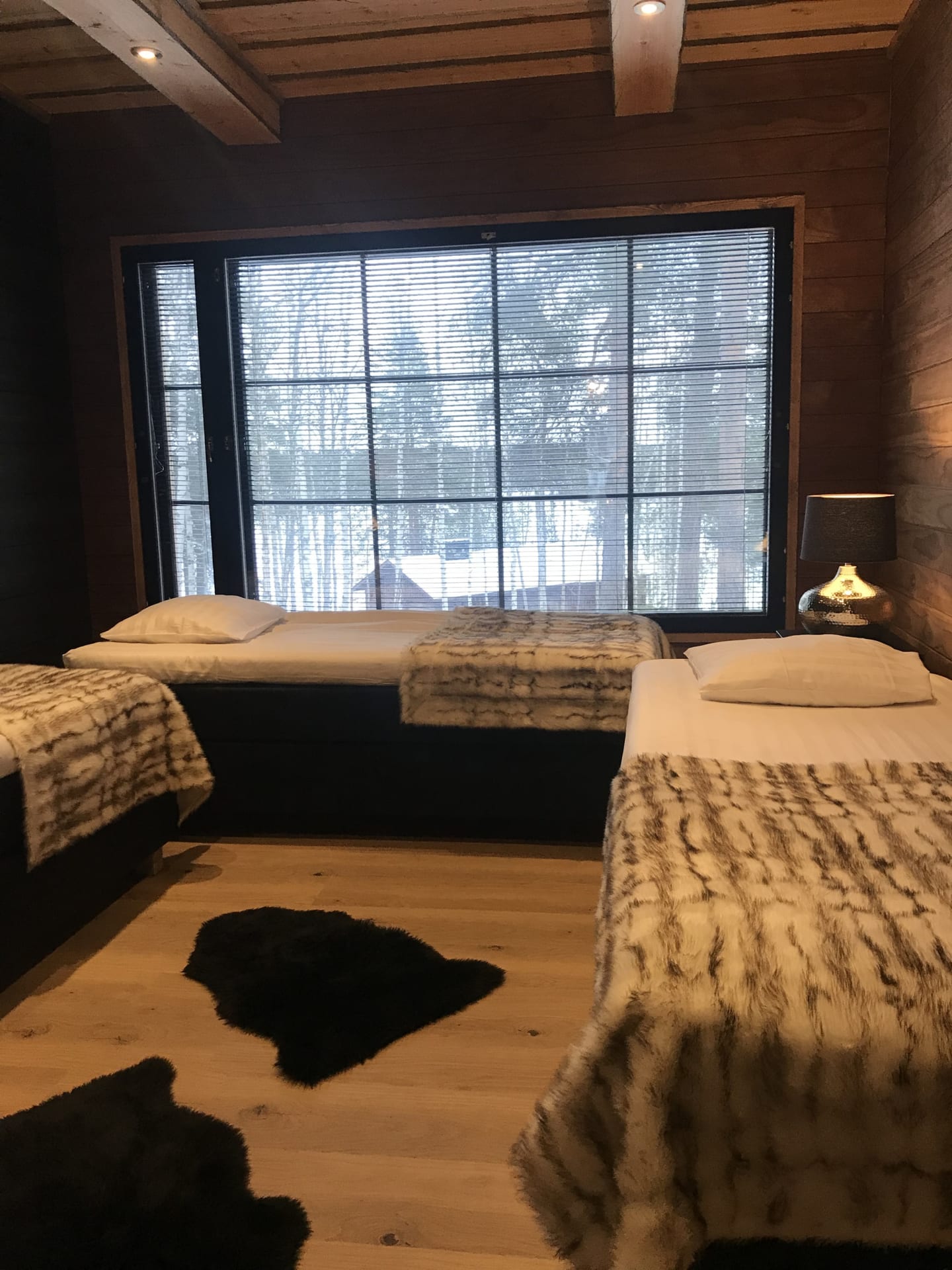 Arctic Suite