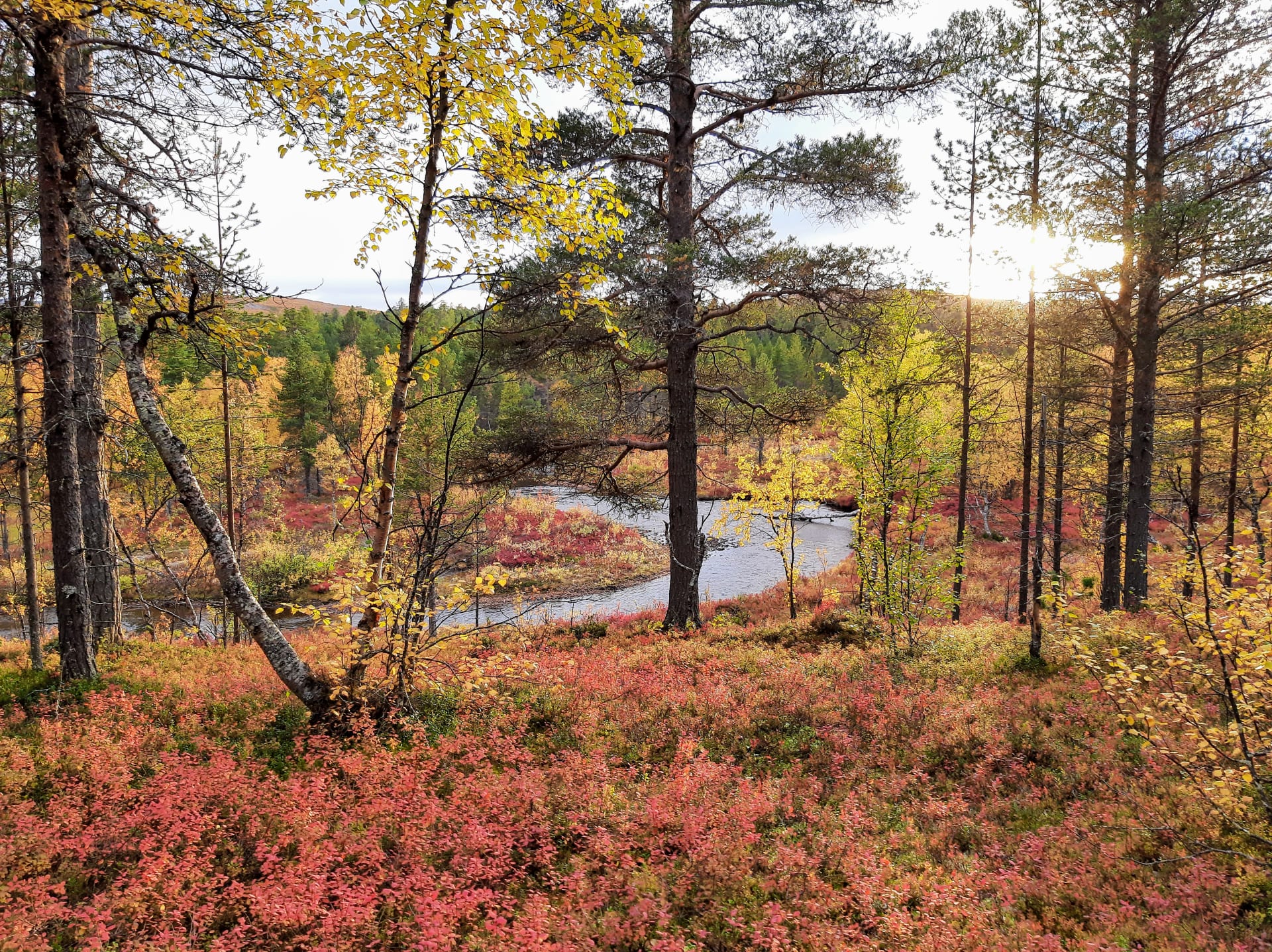 Autumn colours at Máttit Ravadas