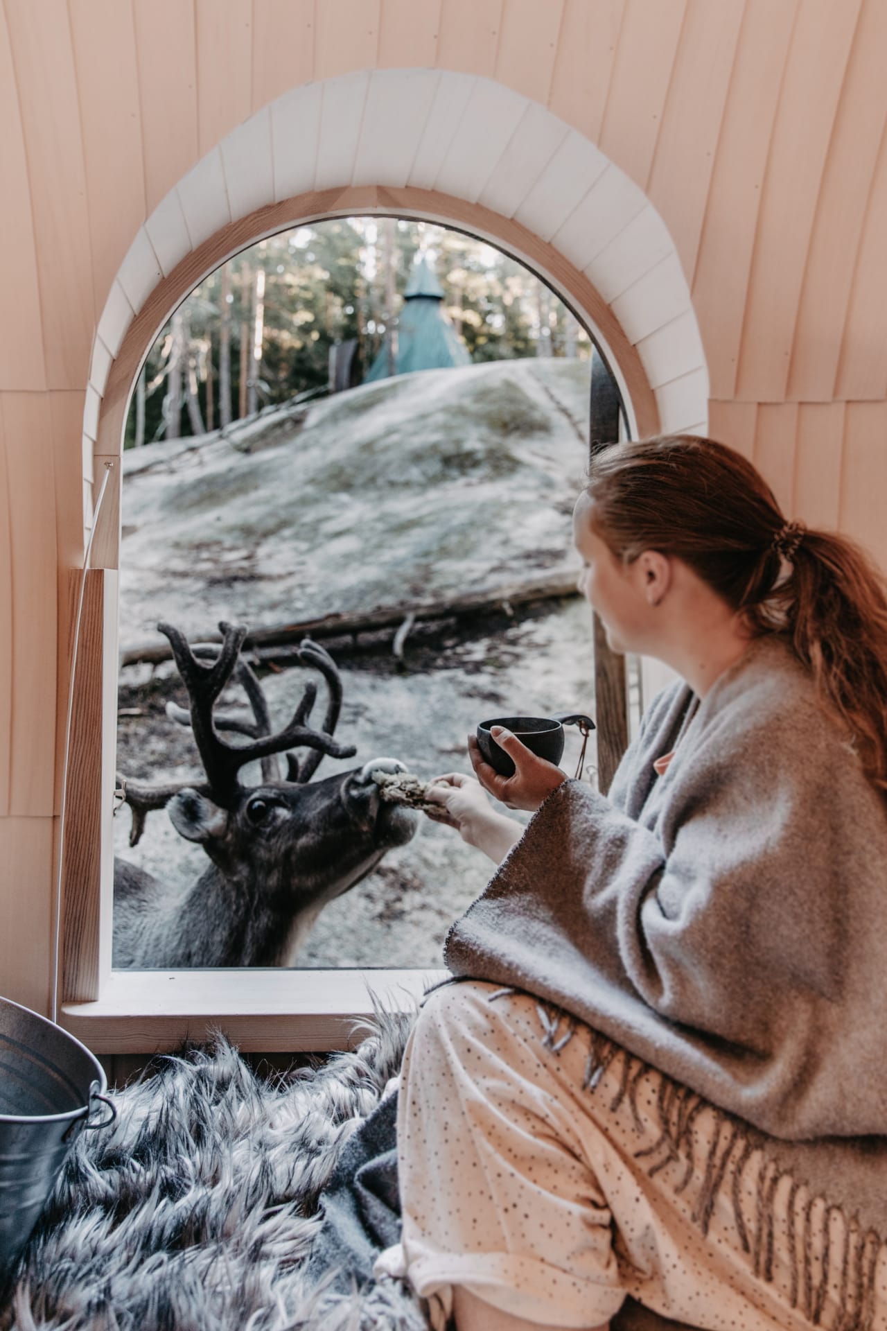 Reindeer feeding through the window.