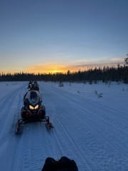 Safari © Juuso Tuovinen Safari