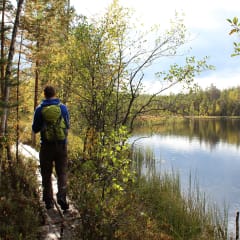 Mäntyharju-Repovesi -reitti patikoiden