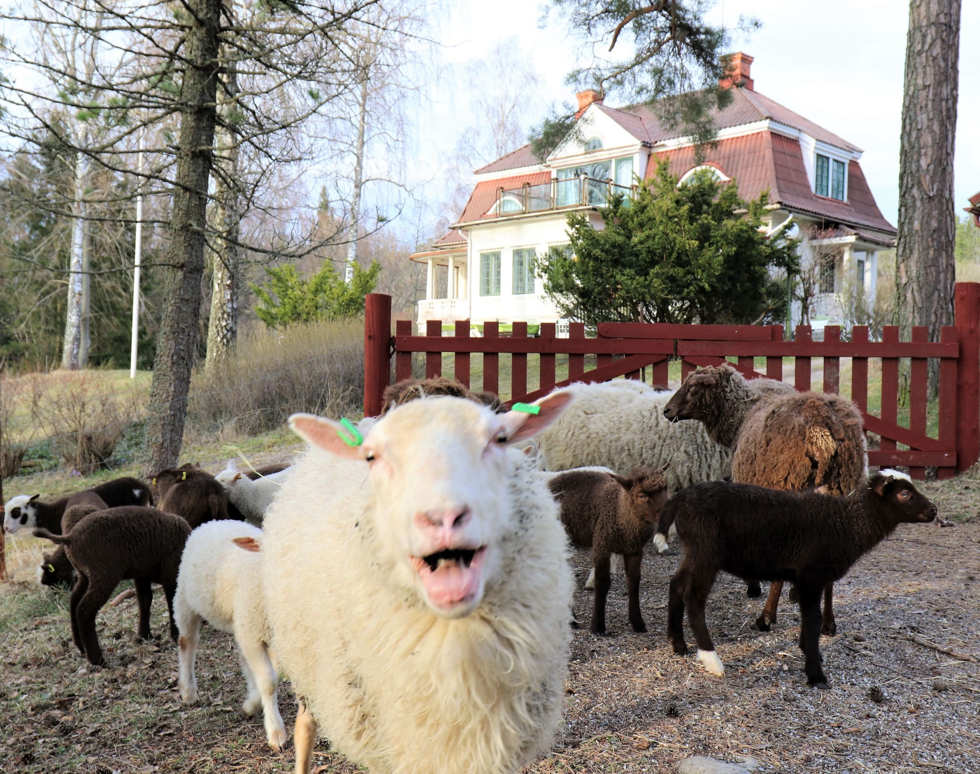 Tervetuloa Stentorpiin Tervetuloa Stentorpiin