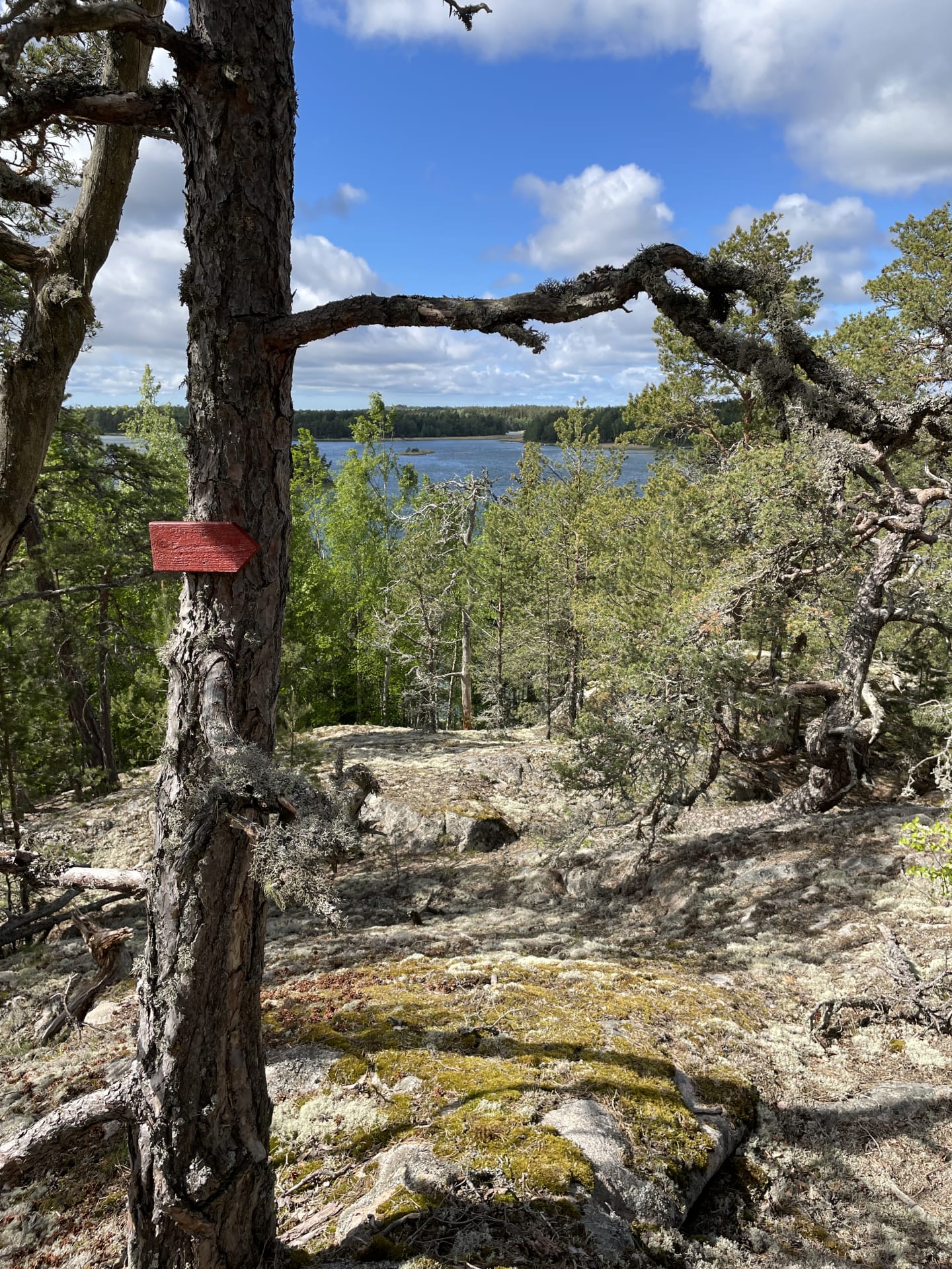 Kirjais Red Path Kirjais Red Path