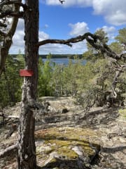 Kirjaisten Punainen Polku