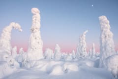 Winter Landscapes of Kuntivaara –photography excursion