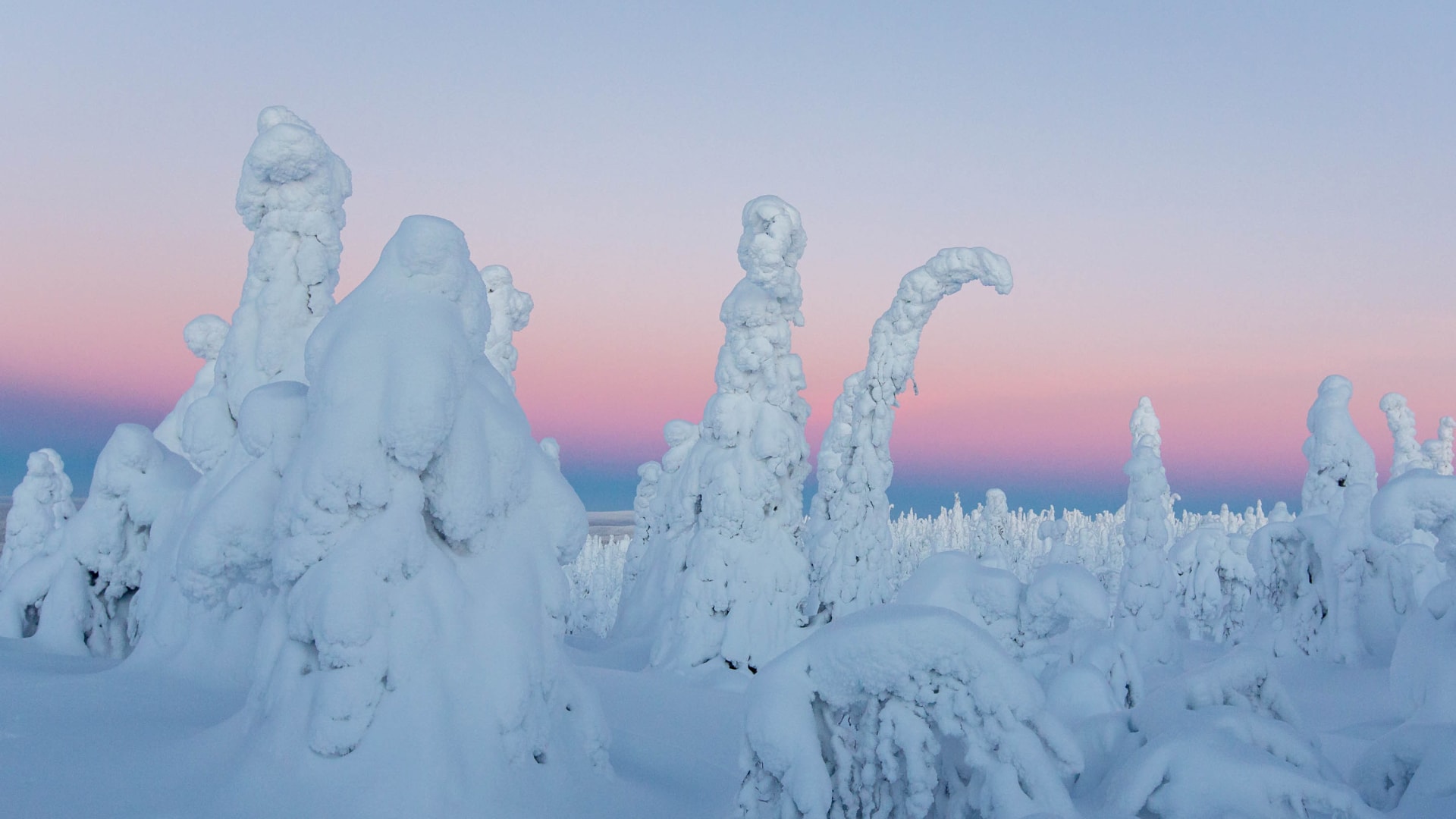 Winter Landscapes of Kuntivaara –photography excursion