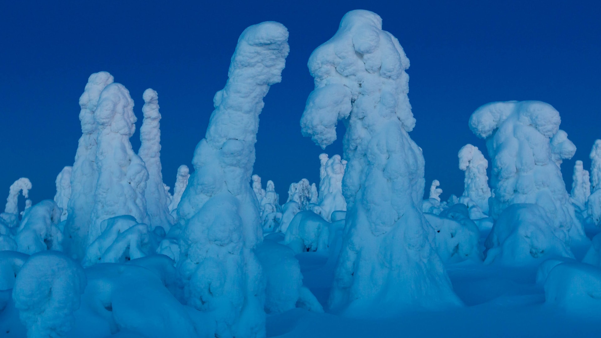 Winter Landscapes of Kuntivaara –photography excursion