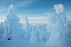 Winter Landscapes of Kuntivaara –photography excursion