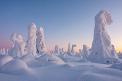 Winter Landscapes of Kuntivaara –photography excursion