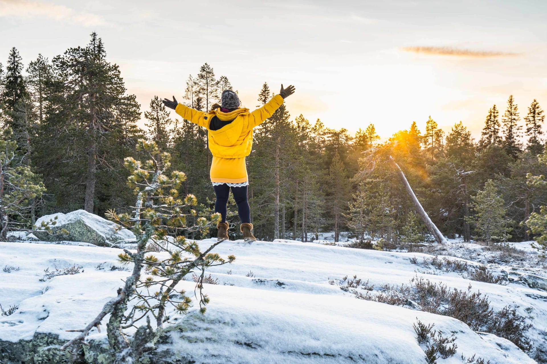 Sunrise on Rovaniemi tour