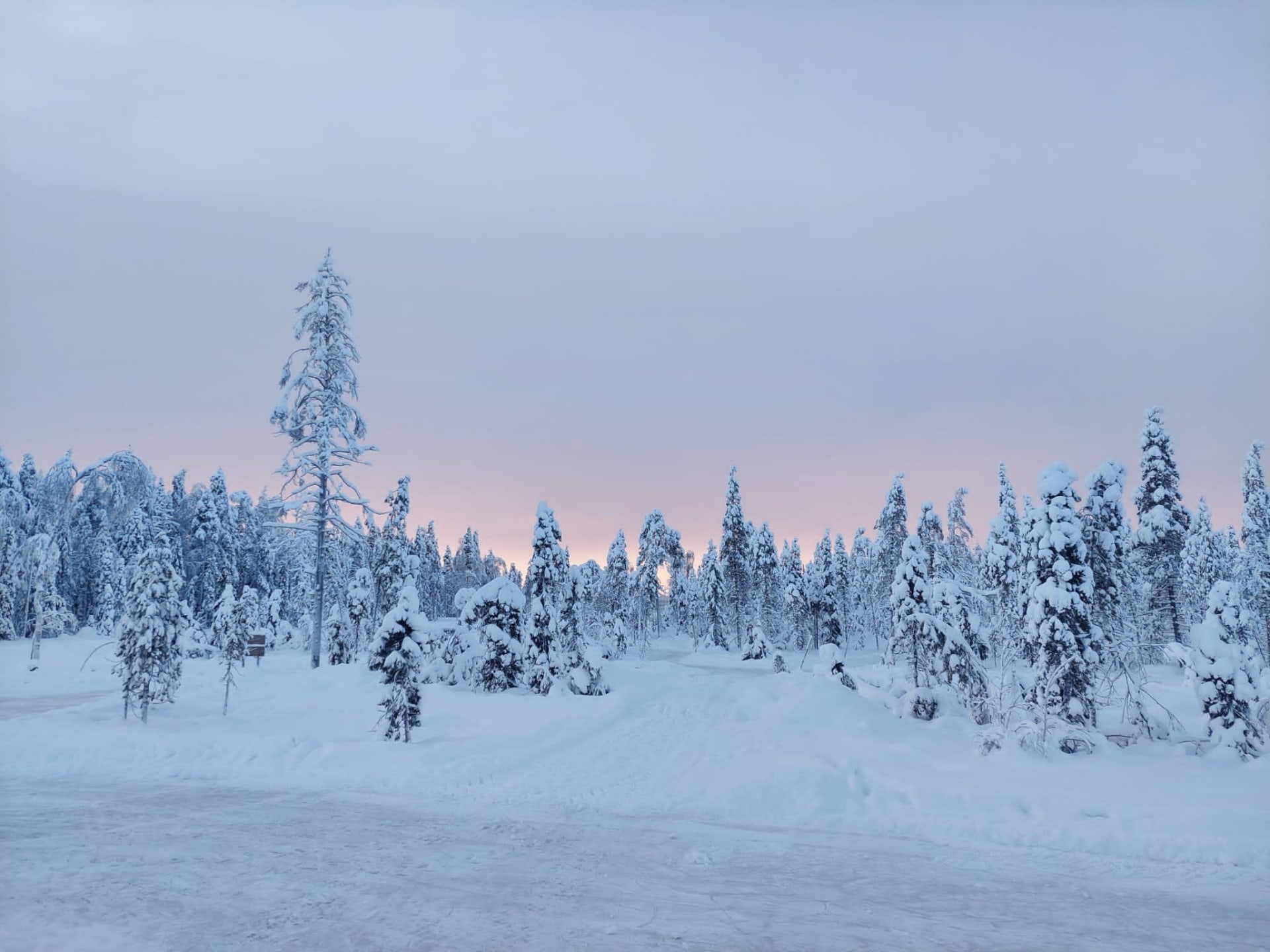 Winter view in Kotatieva