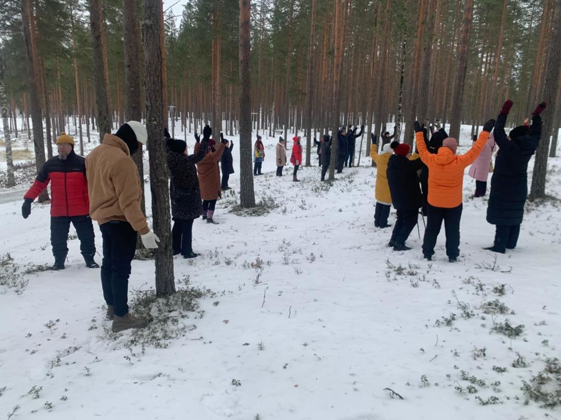 Ryhmä talvisessa metsäkylvyssä