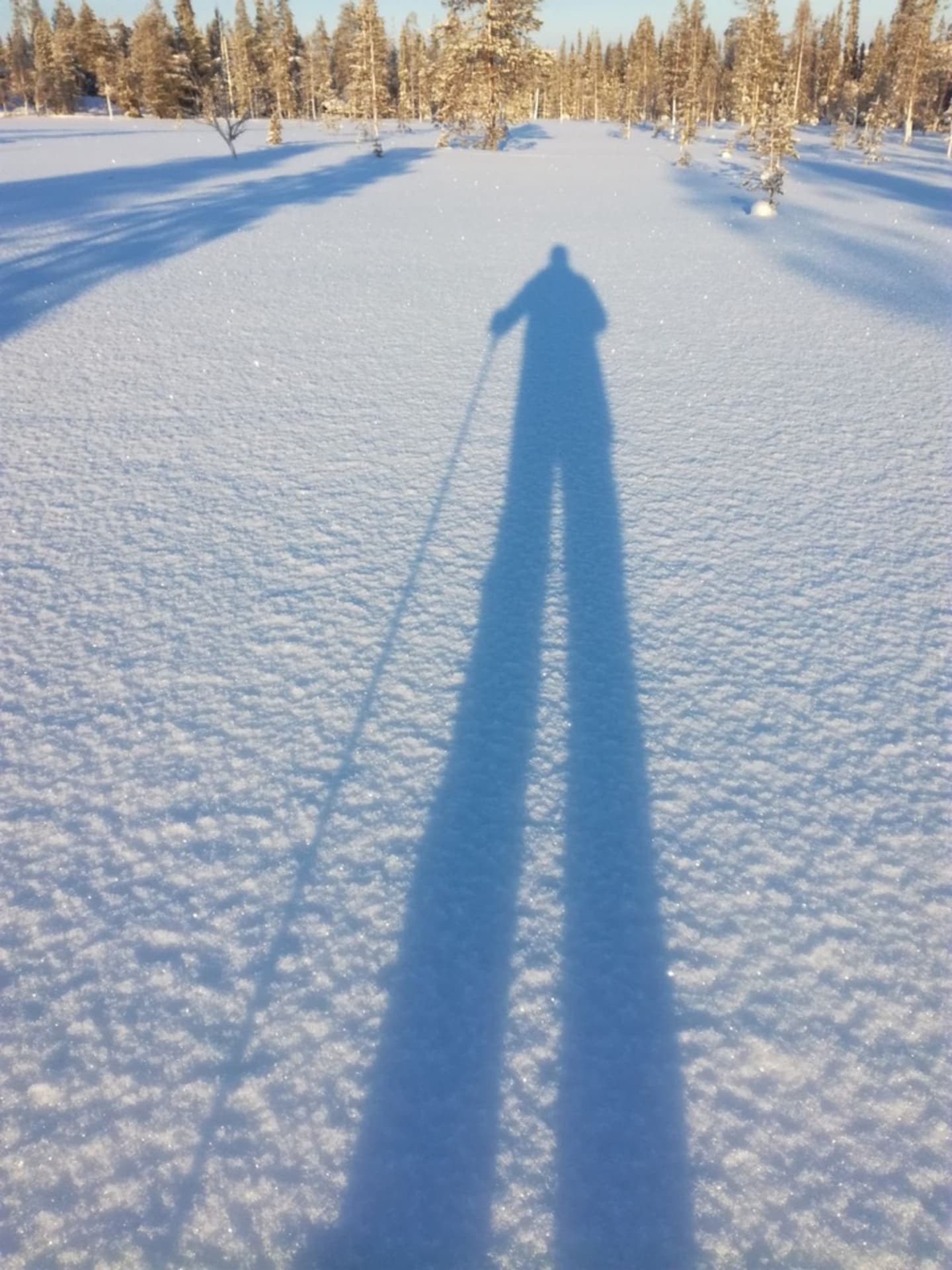 Long legs in February