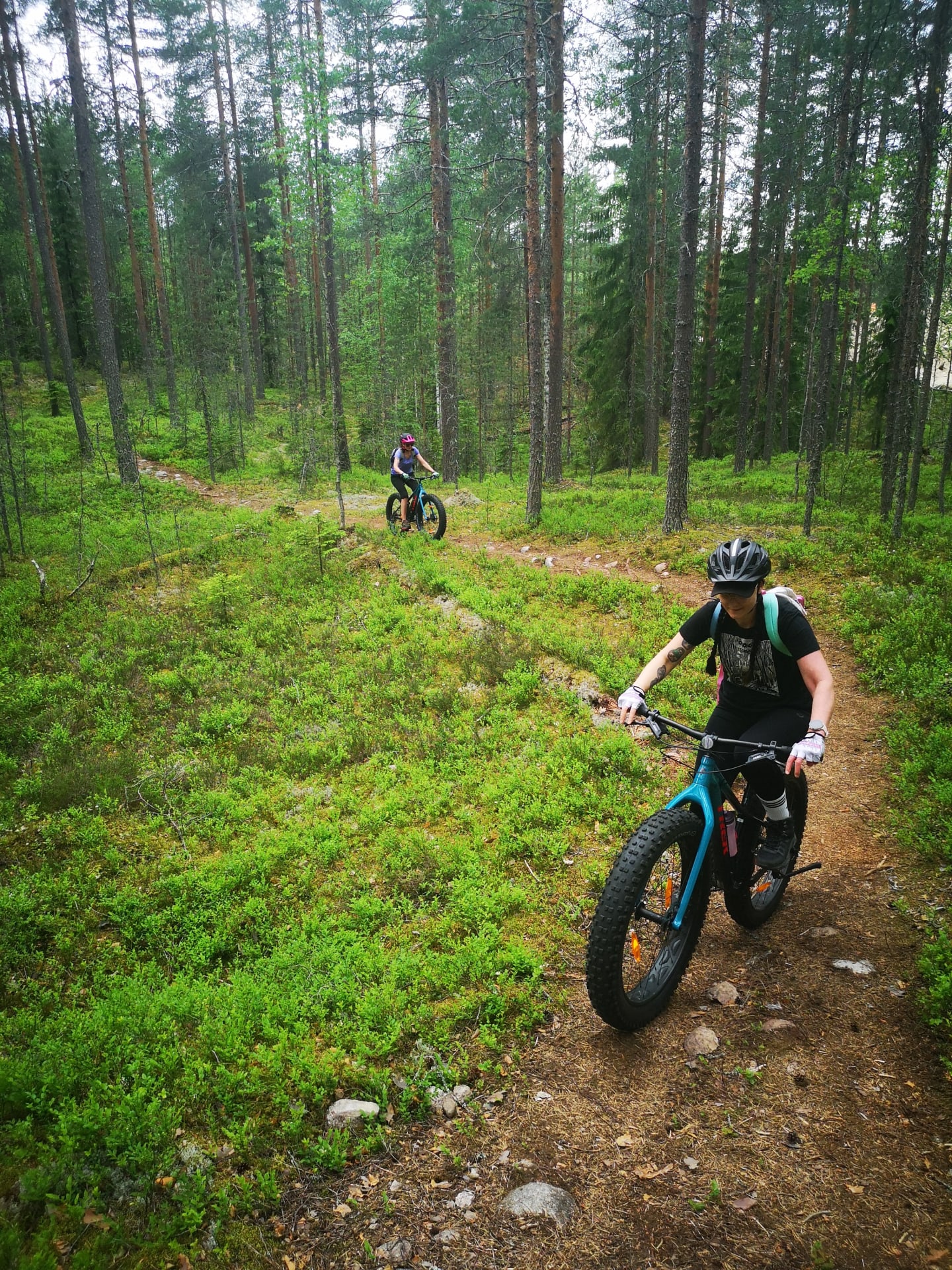 Typical Leivonmäki trails....
