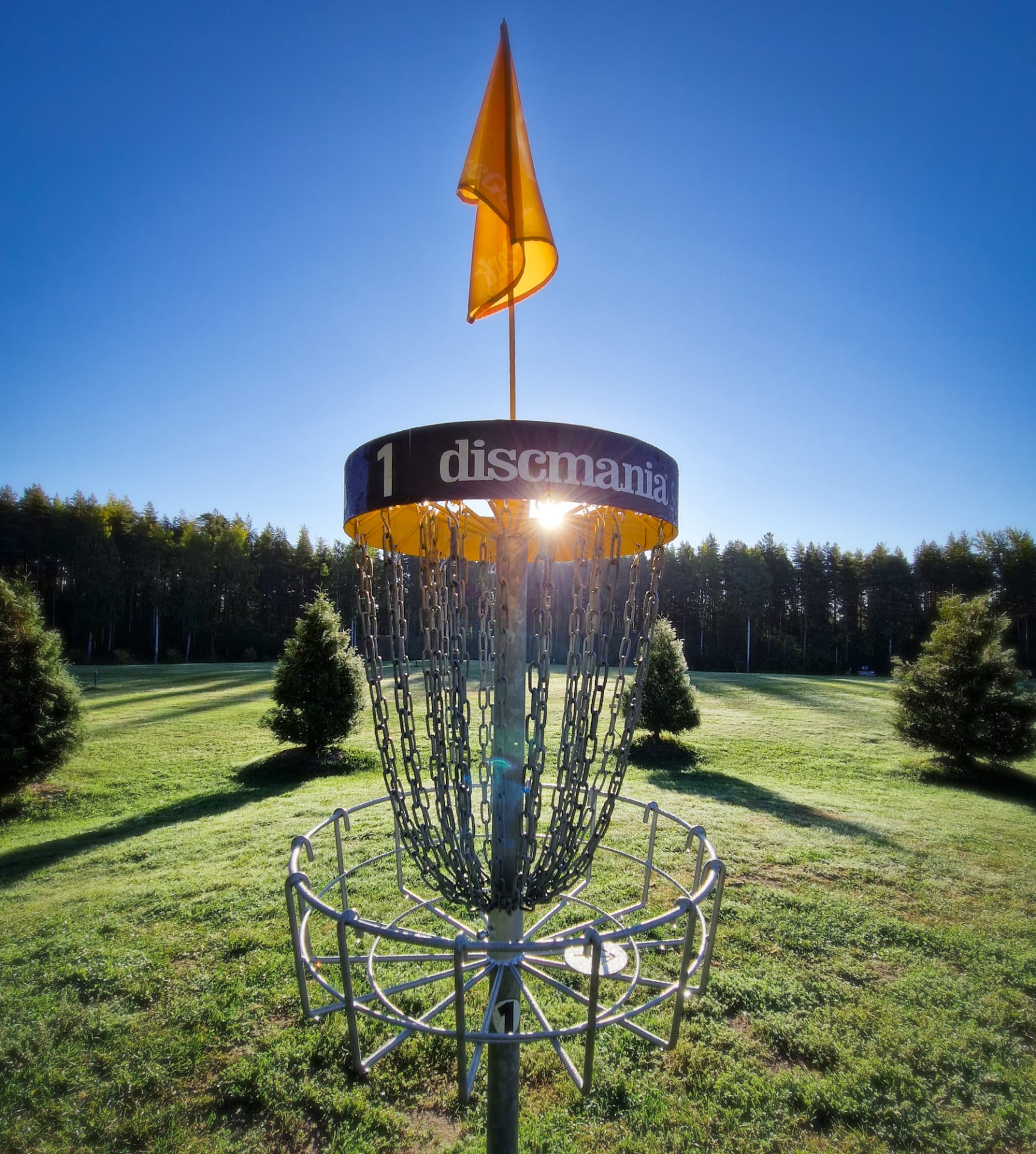 Disc Golf basket