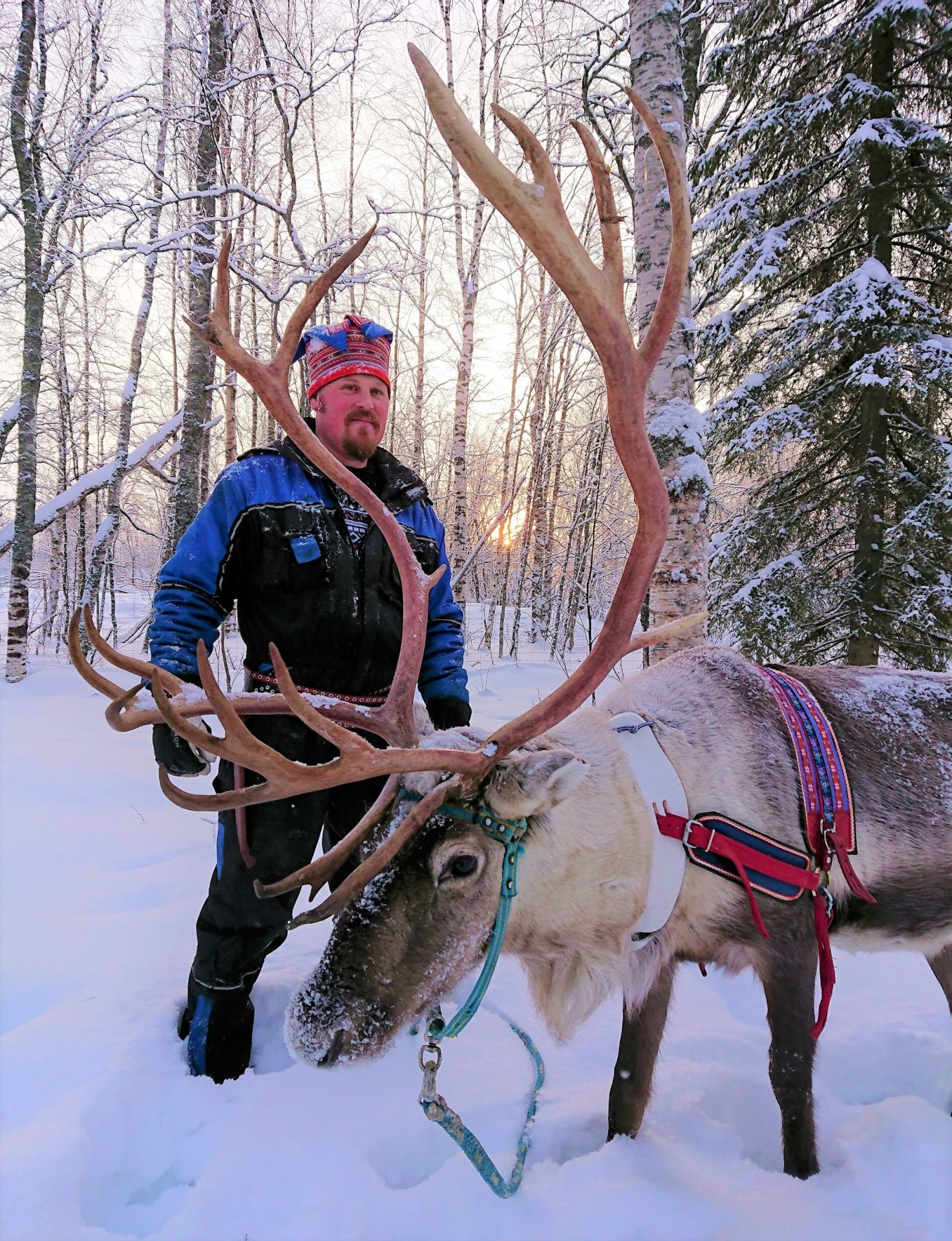 Reindeer Farm Sea Lapland