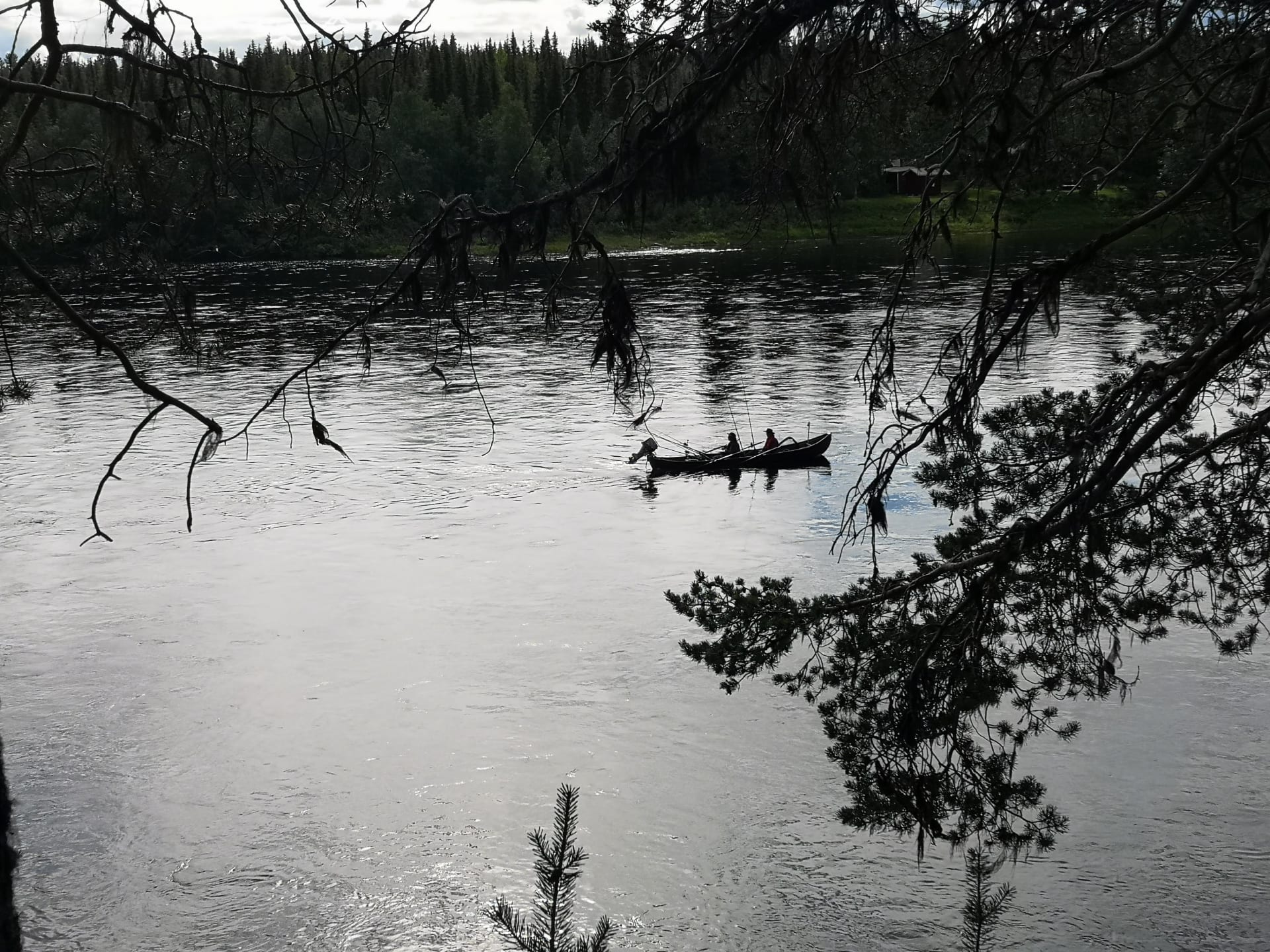 peaceful rowing on the salmon river