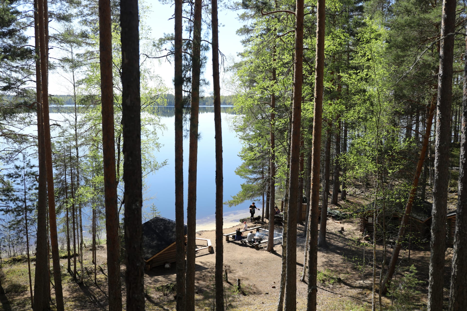 Keväinen maisema Leivonmäen kansallispuistossa. Etualalla metsää, rannalla laavu ja nuotiopaikka ja taustalla järvi. Kuva: Touho Häkkinen