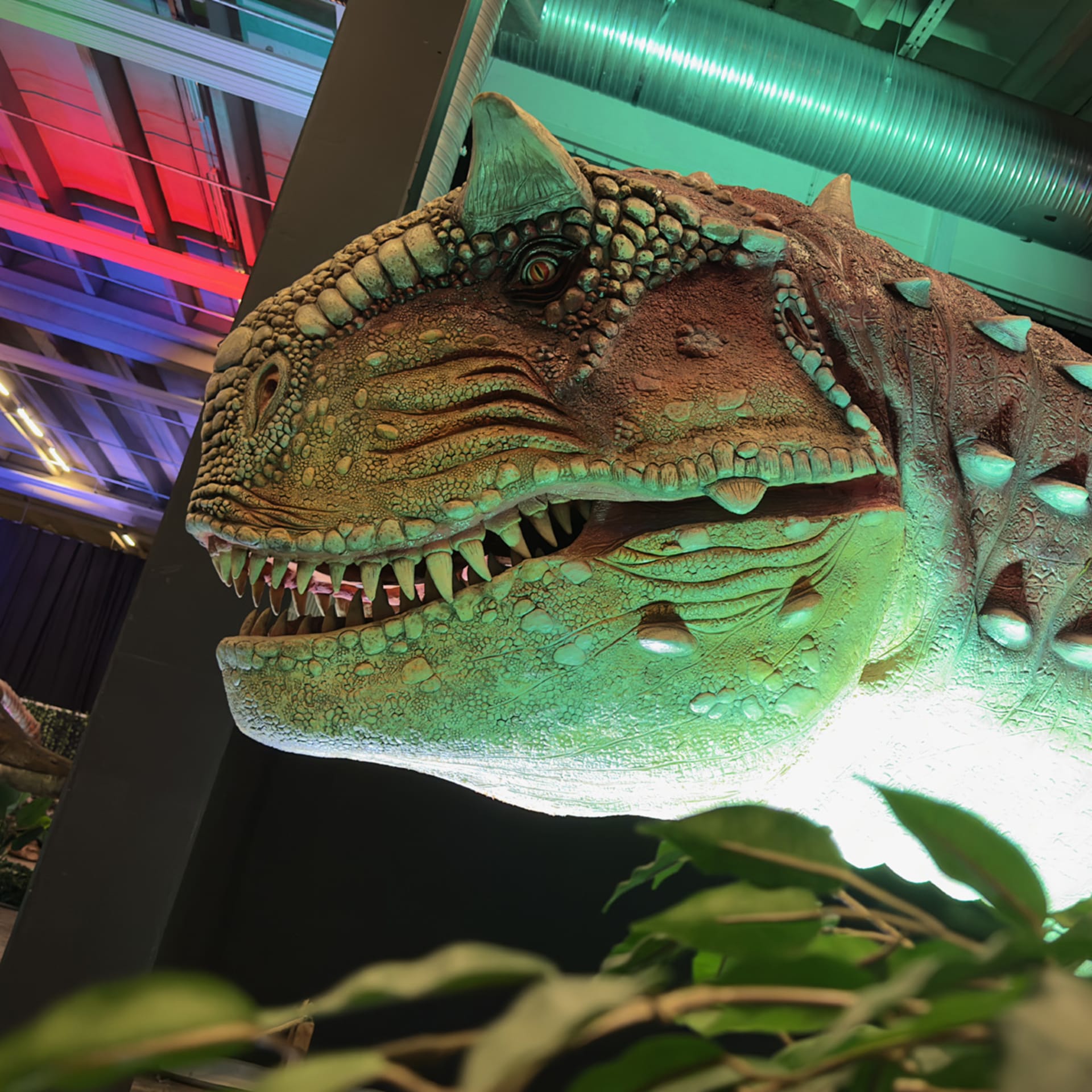 Carnotaurus