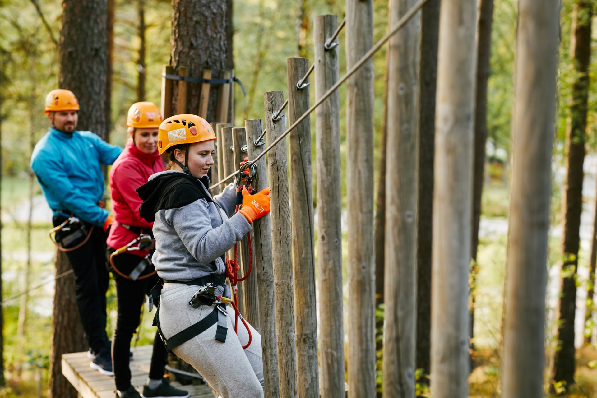 Flowpark climbing