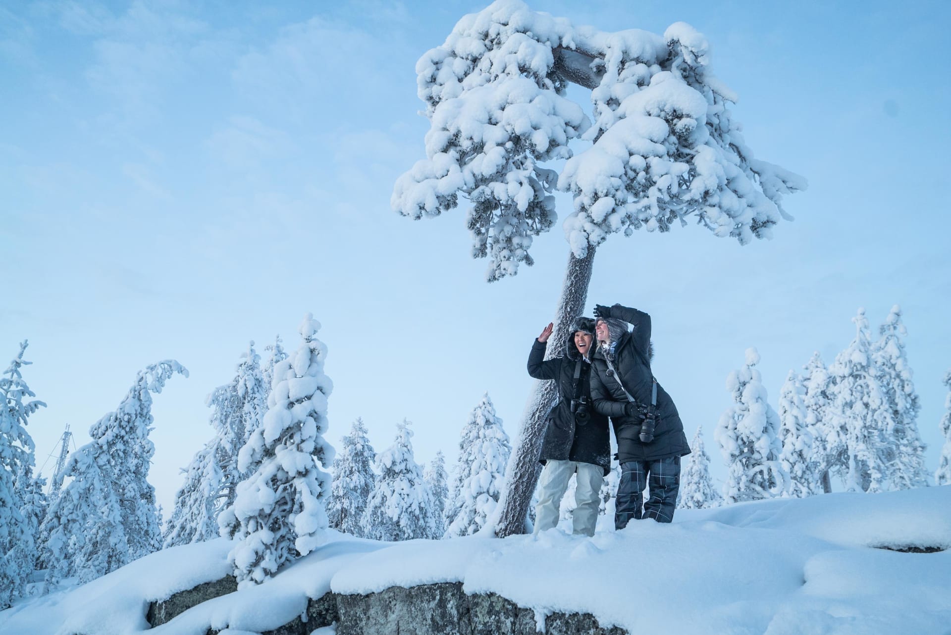 Rovaniemi nature