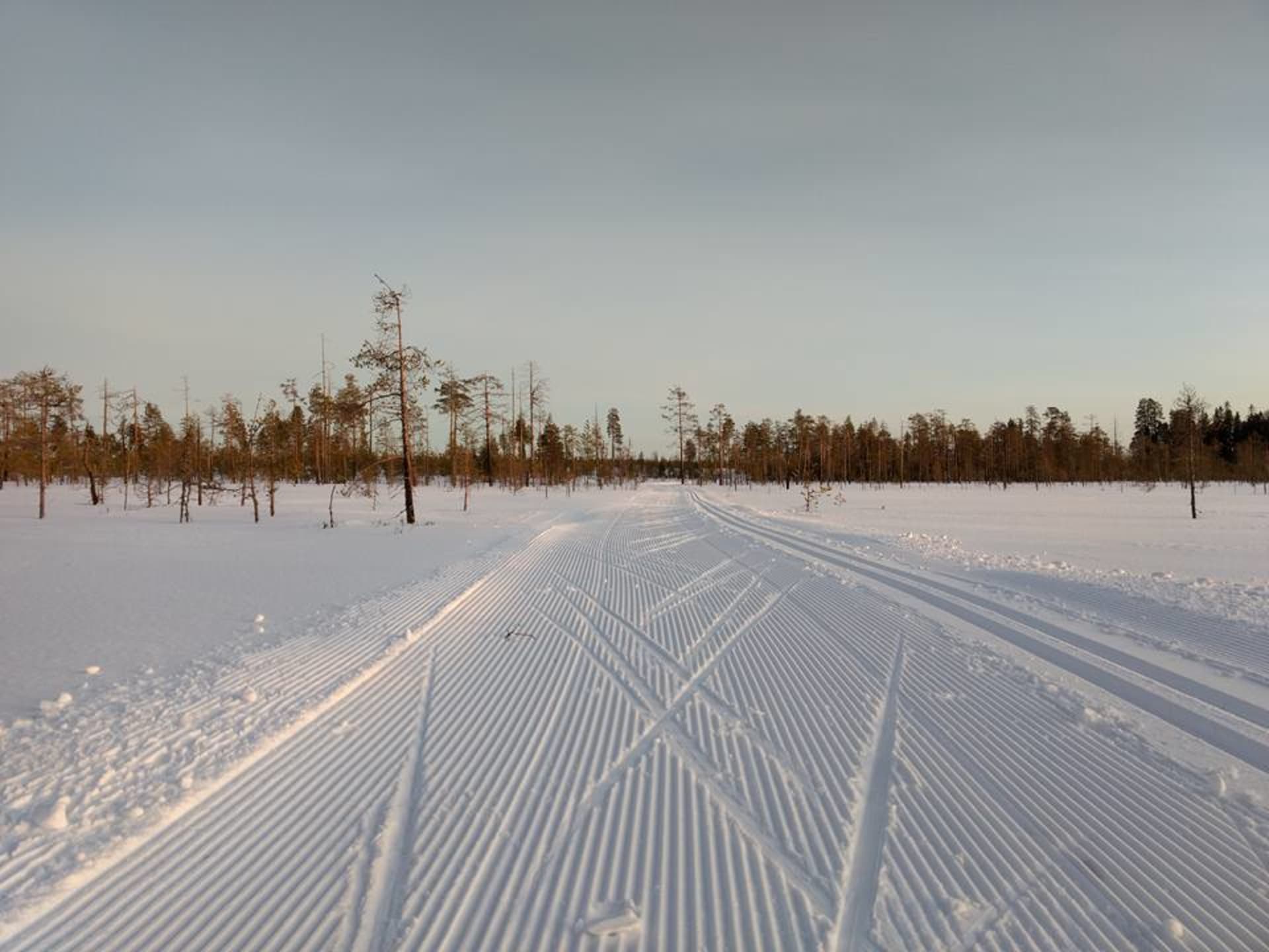 Cross-country skiing tracks in Ranua, Finnish Lapland