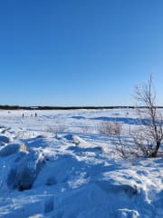 Frozen sea in Hailuoto Marjaniemi. White snow and clear blue sky.