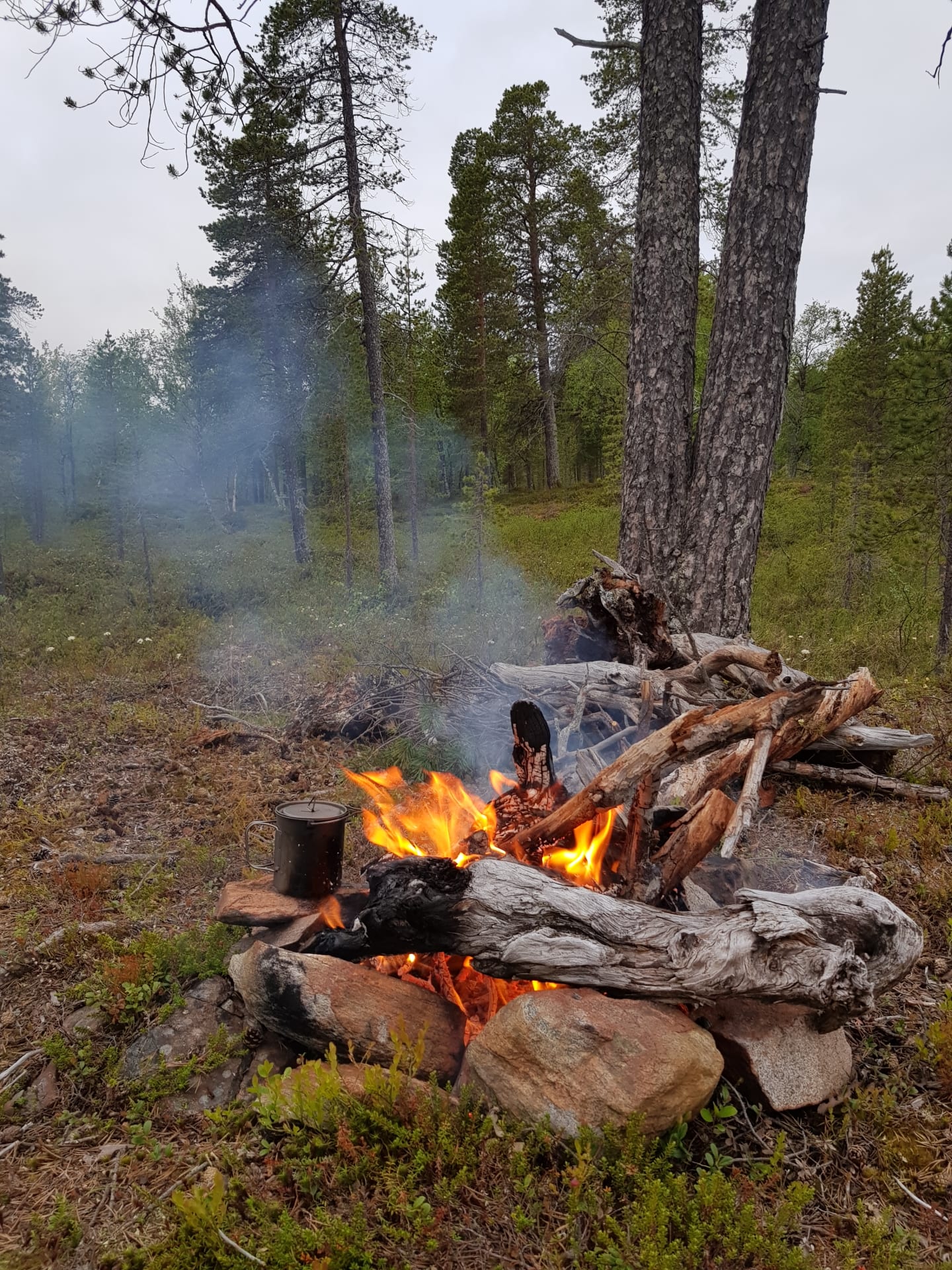 Outdoor cooking & tailored wilderness tours
