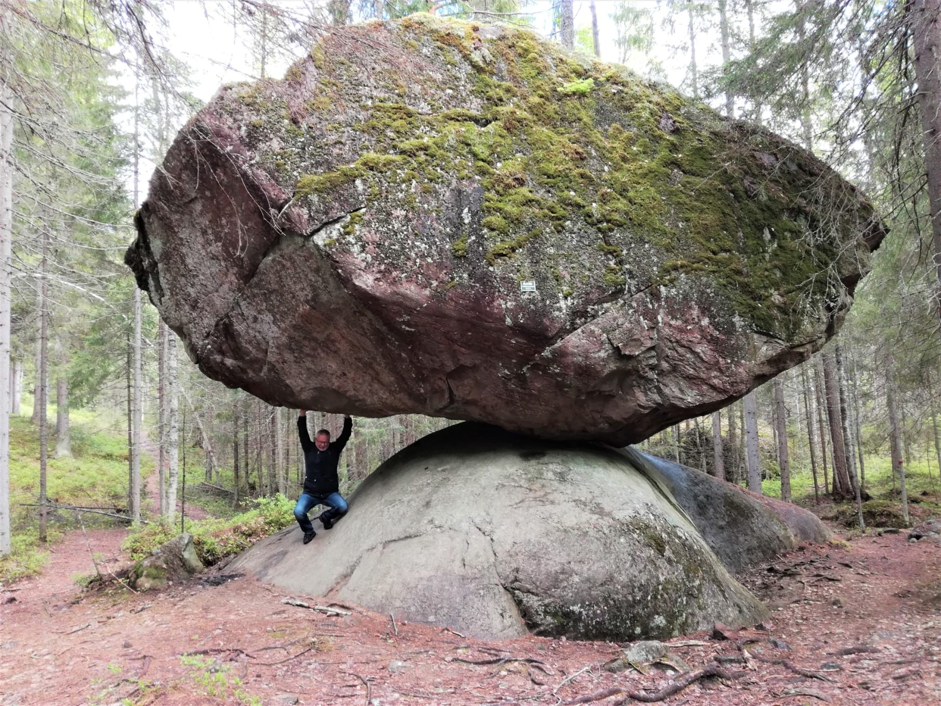 Cycling adventure holiday by Lake Saimaa