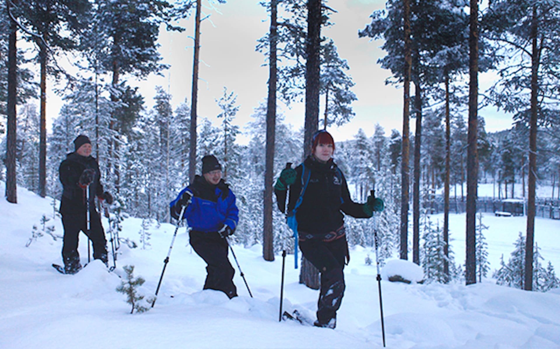 Snowshoeing Visit in the white white forest with outdoor lunch by an