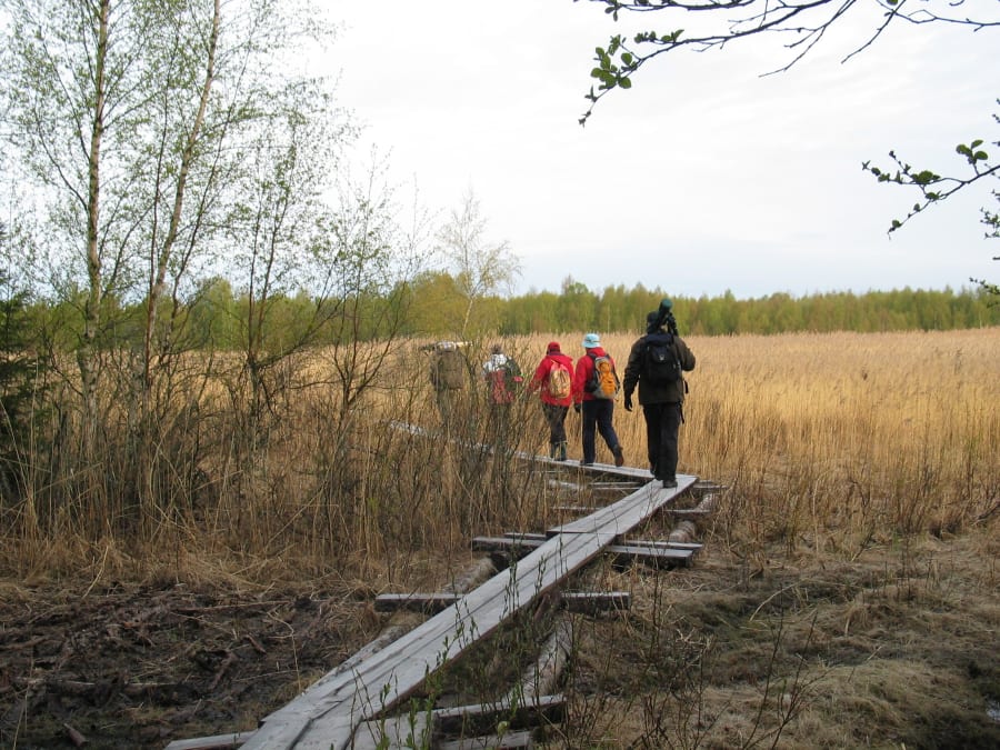 Risö Nature trail | Visit Finland