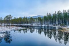 Winter Landscapes of Iivaara –photo excursion