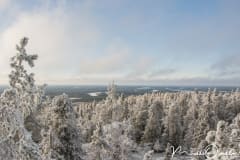 Iivaaran talvimaisemat -luontokuvausretki