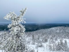 Winter Landscapes of Iivaara –photo excursion