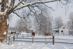 Ratsastuskoulu Jaatalli