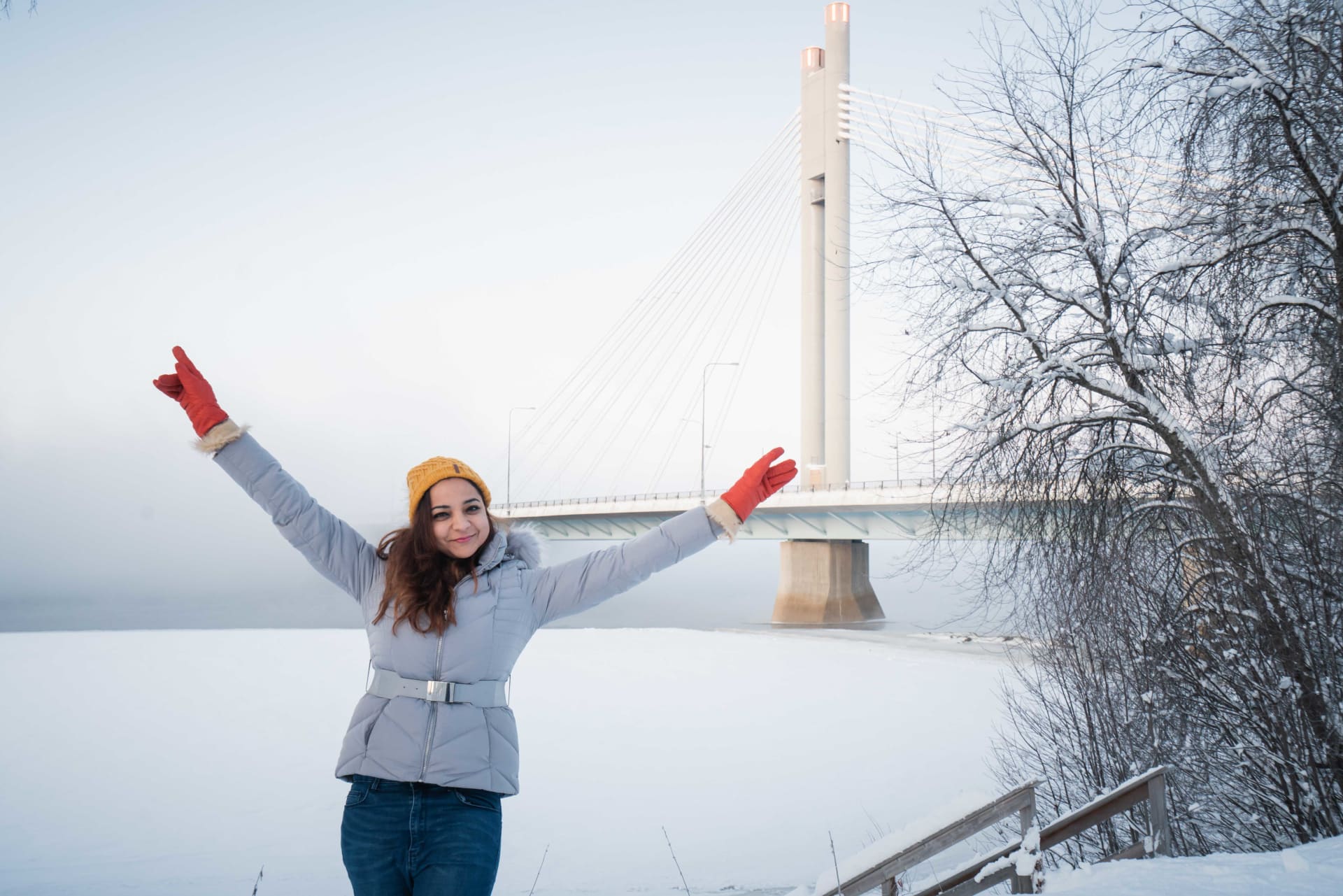 Rovaniemi city tour bridge