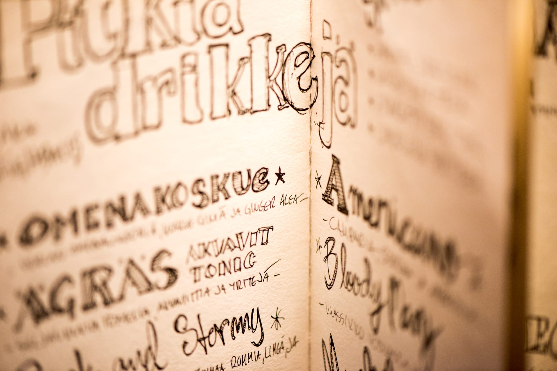 Drink list in Paja has various options