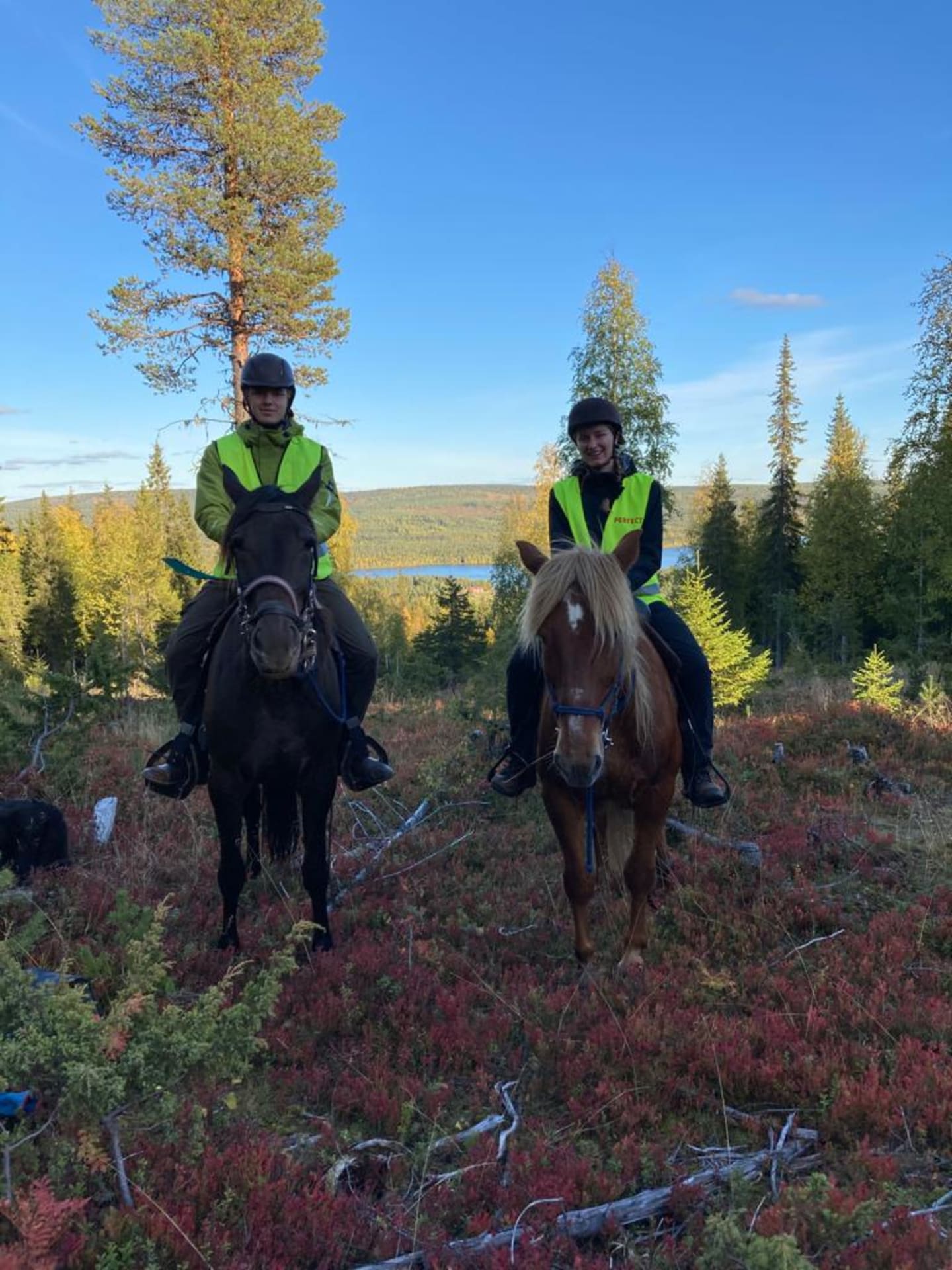 The autumn ride