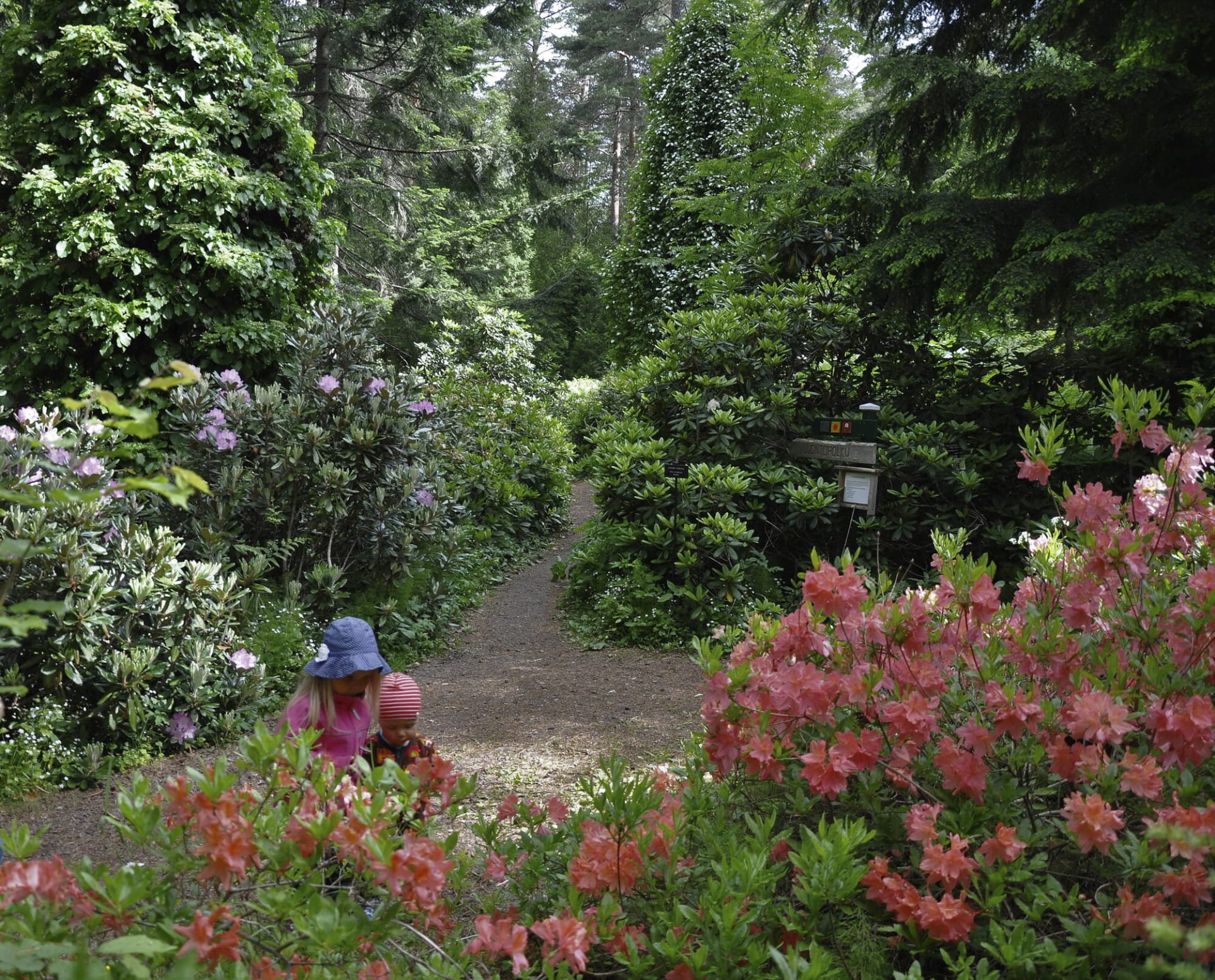 Arboretum Mustila