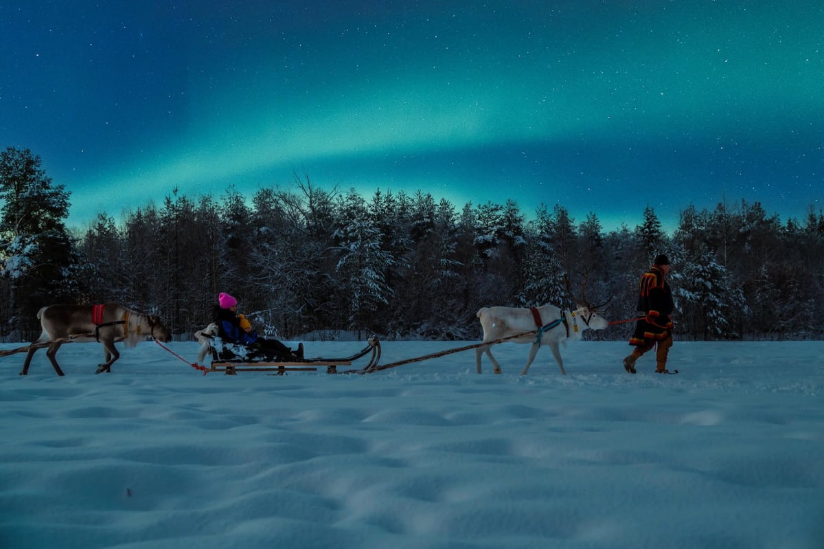 Reindeer Sleigh Ride Across the Night in Apukka, Rovaniemi, Lapland ...