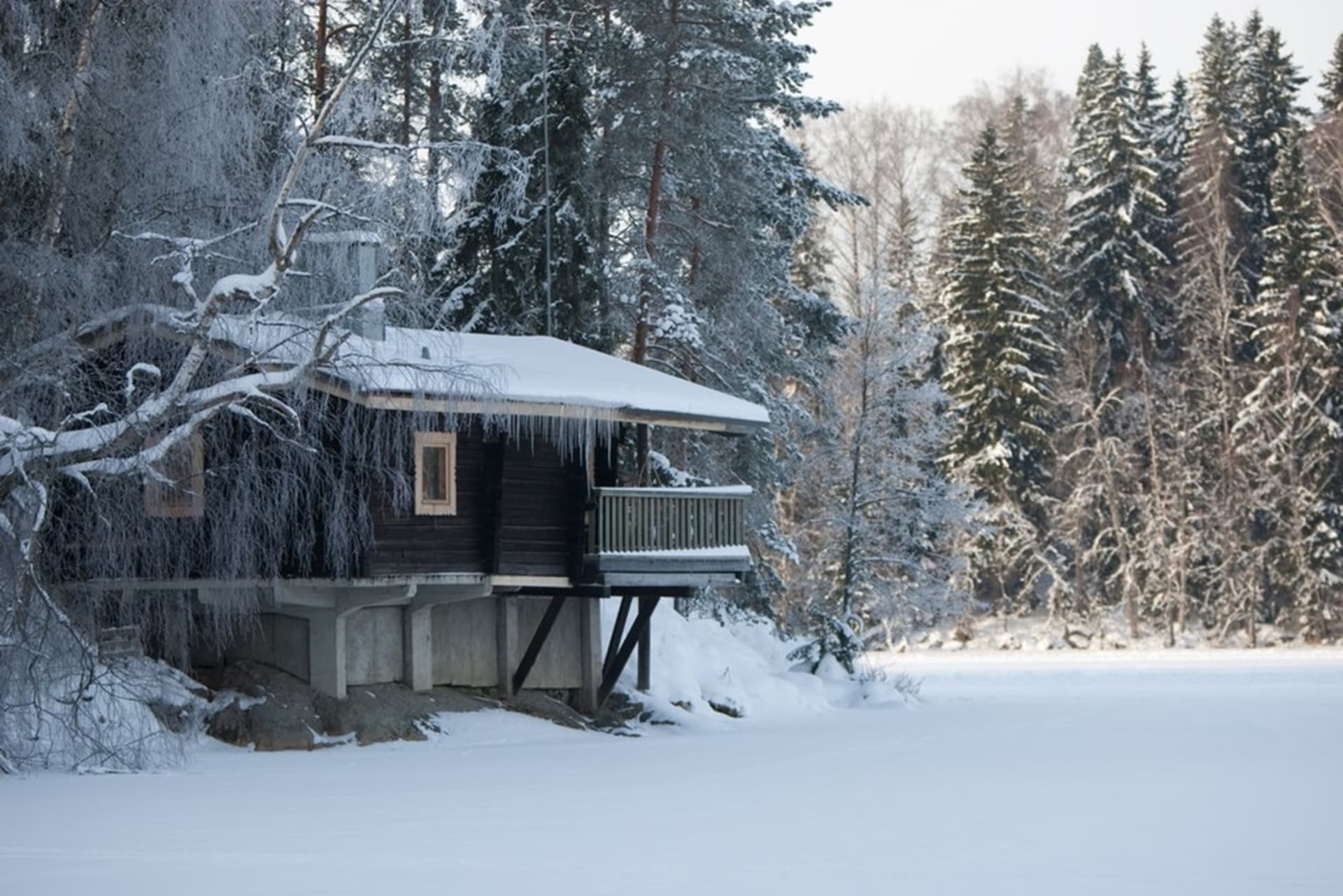 Elvilä log cabin's from the frozen lake