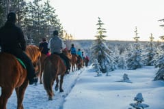 1h yksityinen maastovaellus; vain me ja hevoset