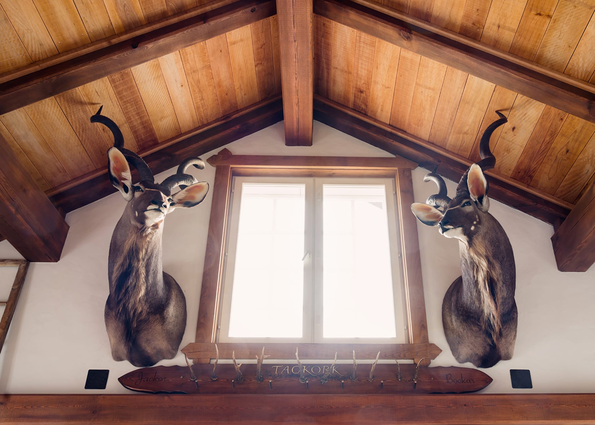 Archipelago accomodation Archipelago accomodation