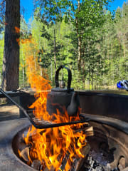 e-fatbike safari Repovesi