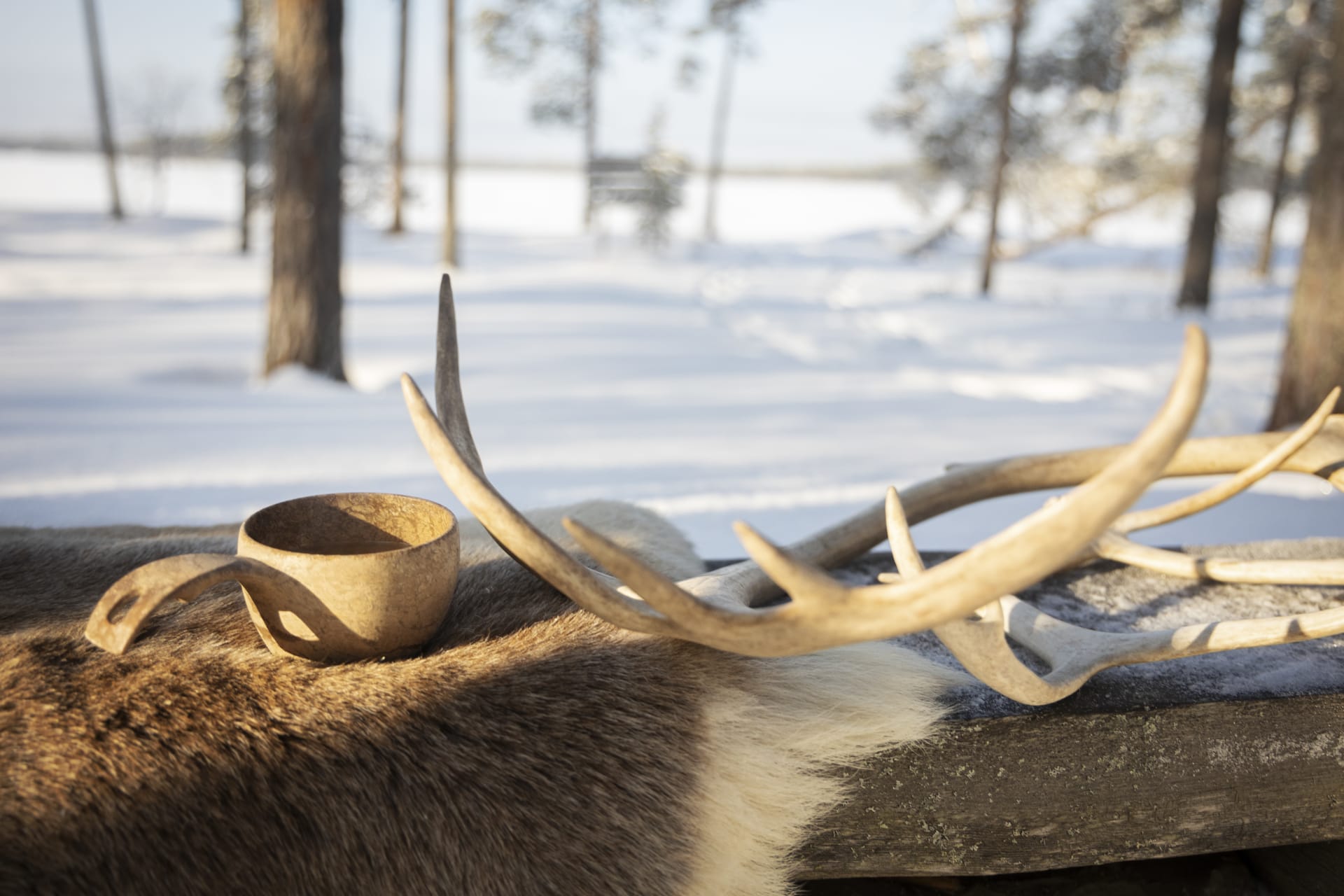 Tulipaikka talvella porontalja