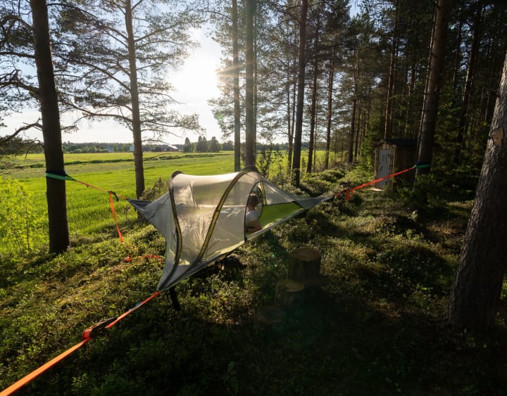 Tentsile Peippo