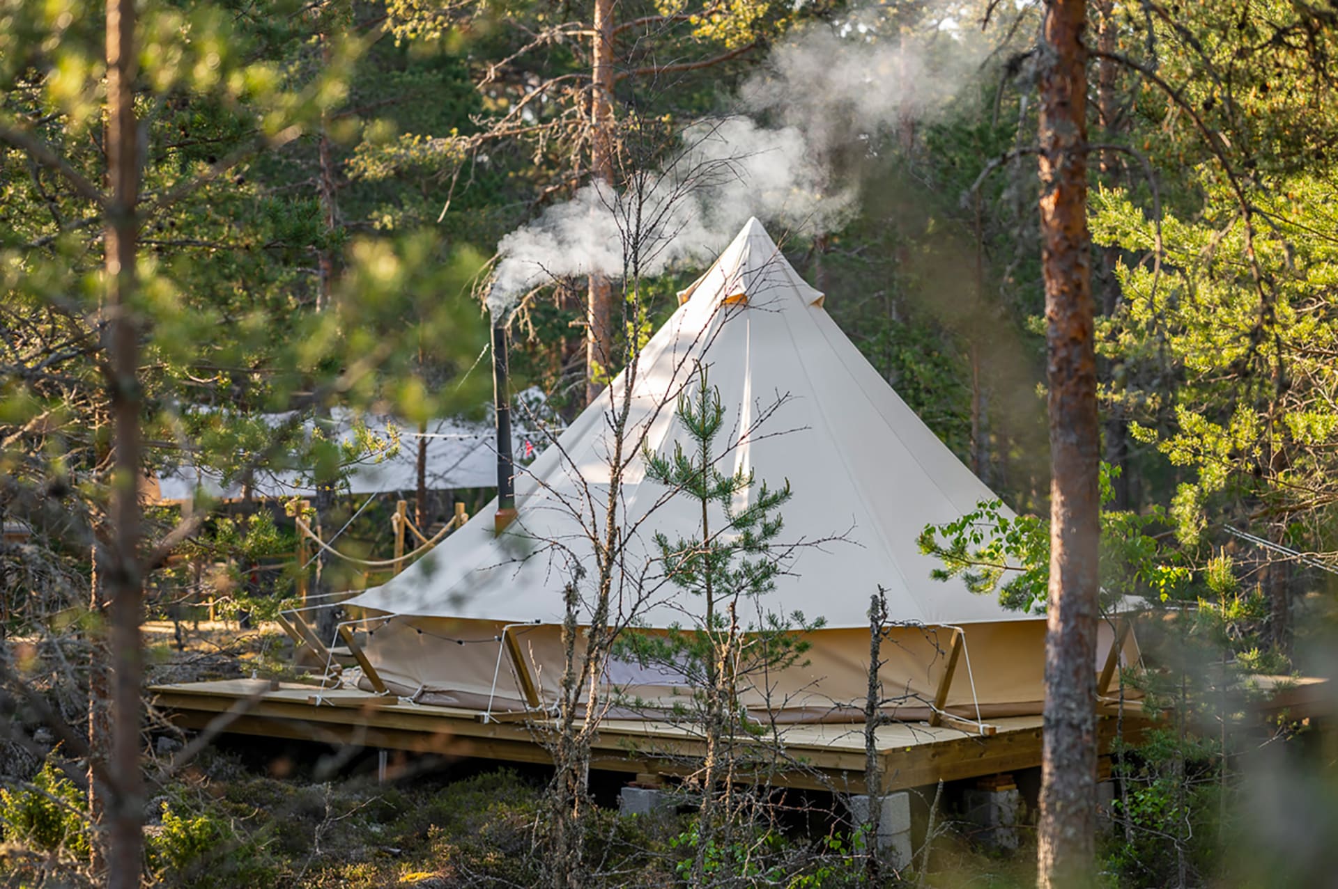 Close to nature relaxation from everyday life in the island forest. Close to nature relaxation from everyday life in the island forest.