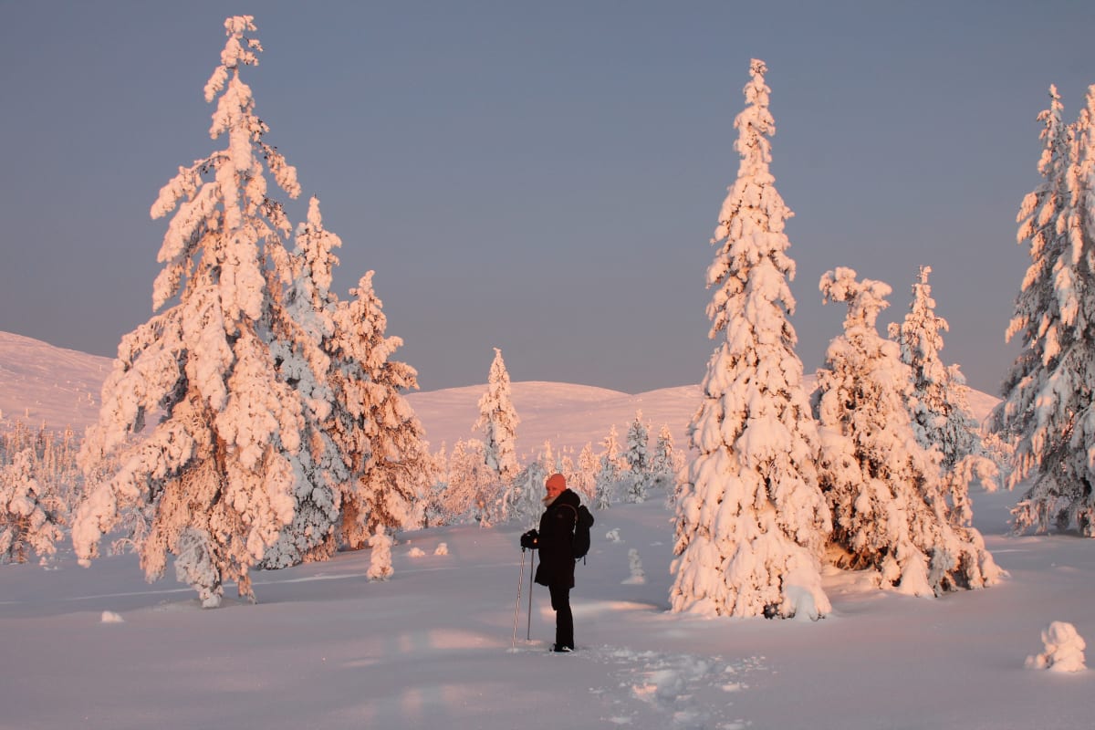 Snowshoeing in the National Park
