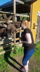 Ravintola Hirvikartano