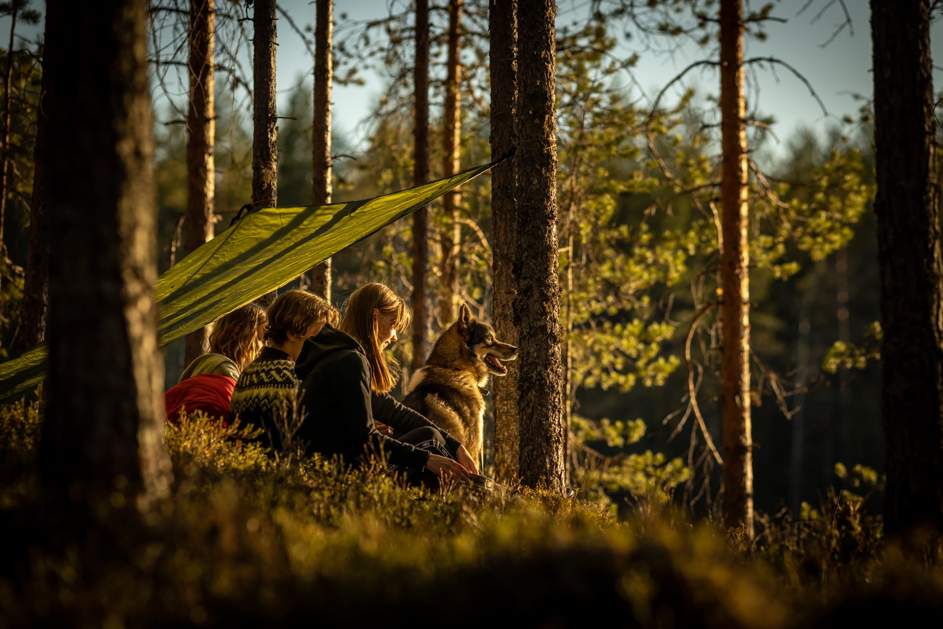 Metsäkartano Youth Centre camp school activity forest shelter